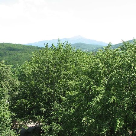 Apartment Vito Plitvička Jezera Екстериор снимка